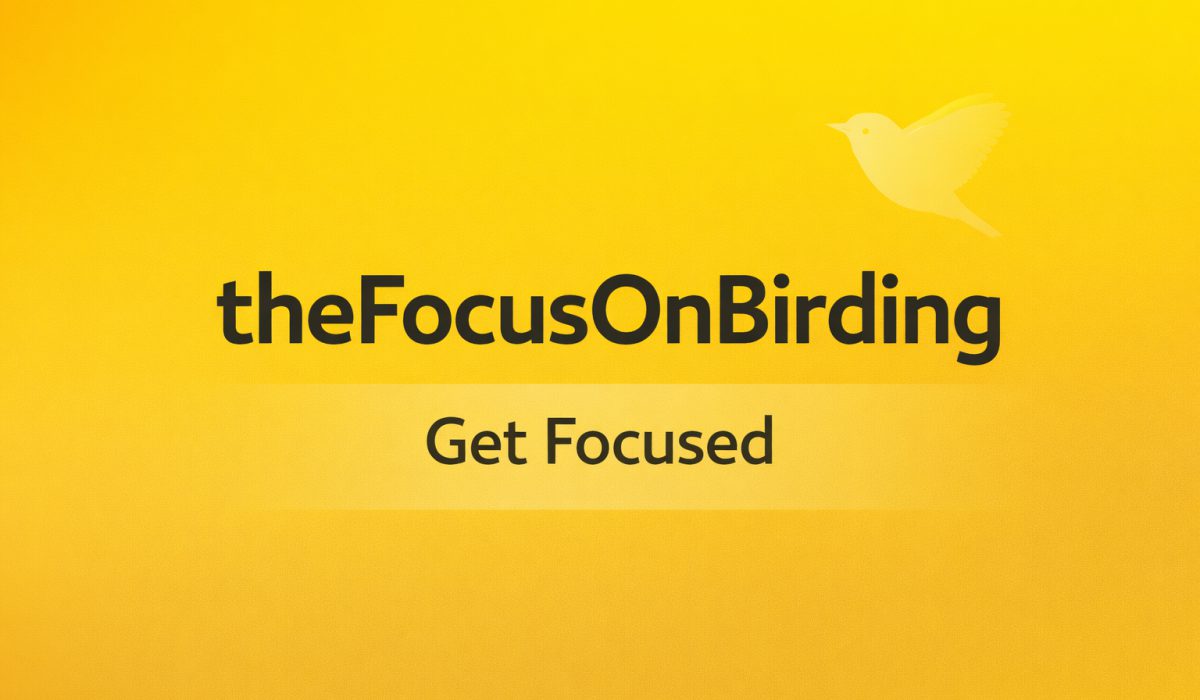 birding