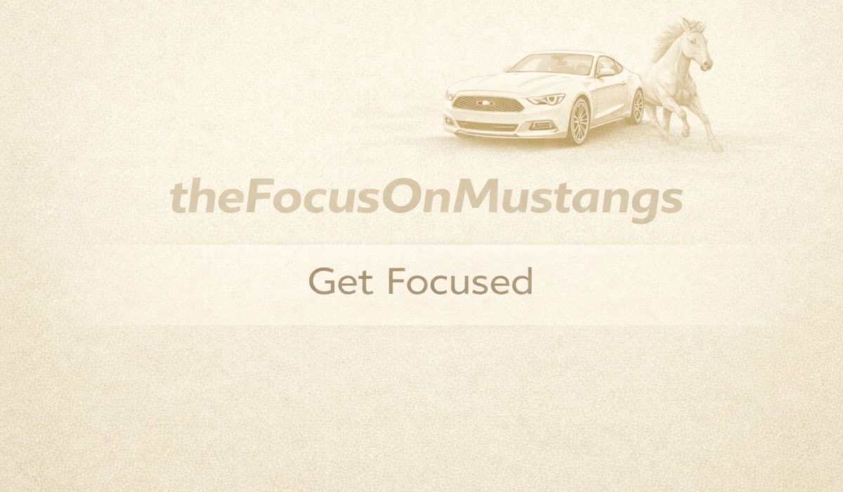mustangs