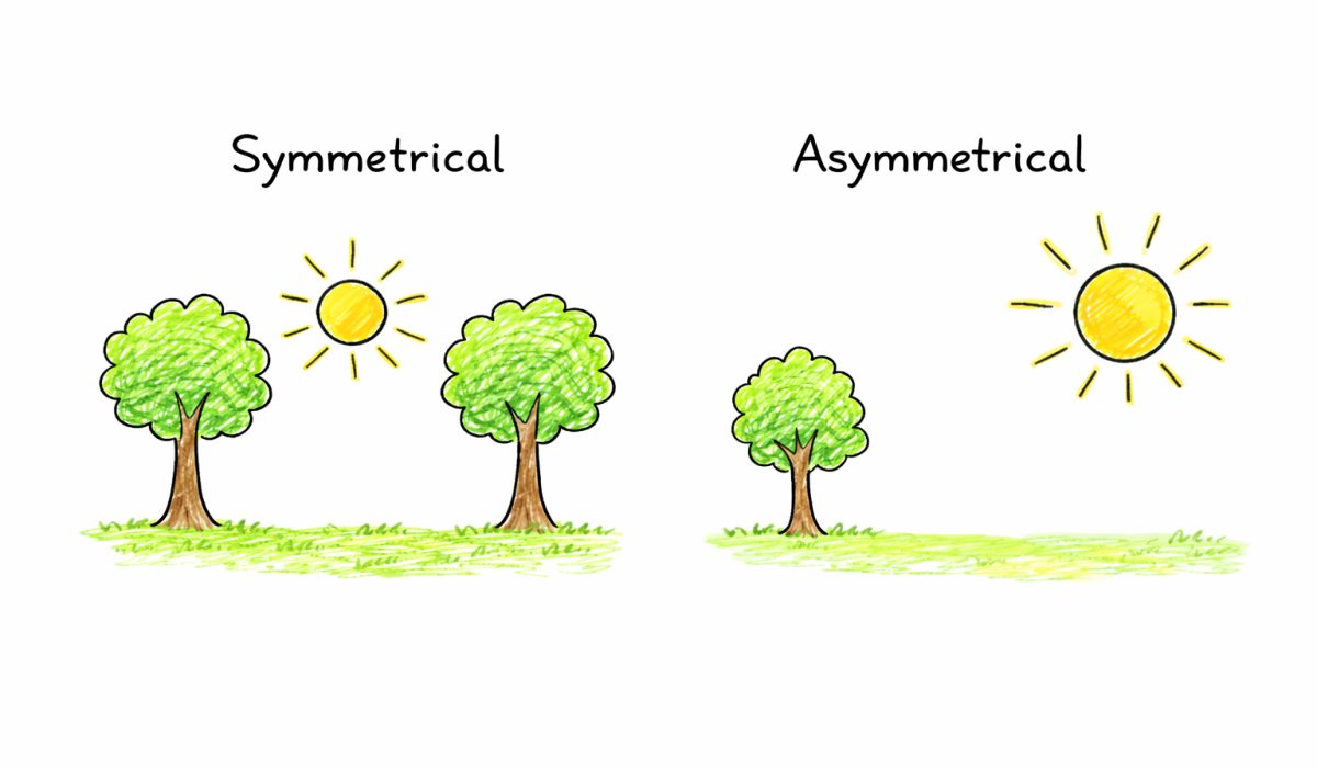 art_basics_clean_5